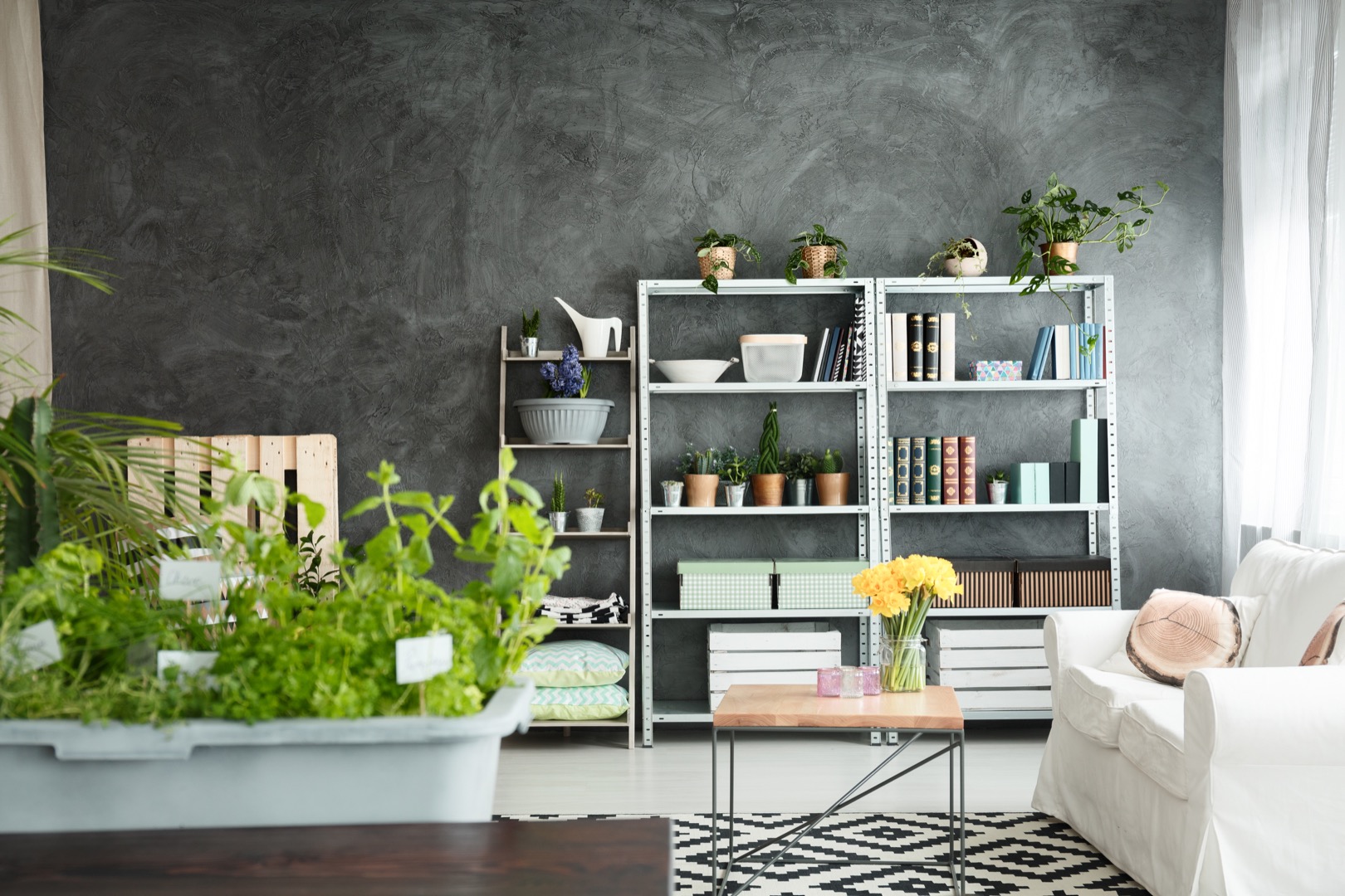 Design place apartment